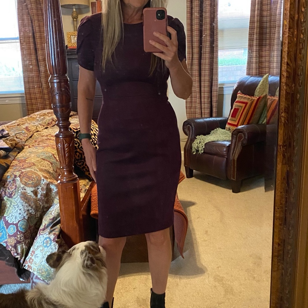 Calvin Klein Plum Pencil Midi Dress with Puff Sleeves